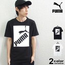 PUMA プーマ 半袖 Tシャツ BIG LOGO Tシャツ (puma tシャツ ホワイト ブラック ボックスロゴ 581386 2020年 新作)  