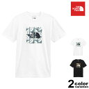 ザ ノースフェイス THE NORTH FACE Tシャツ 半袖 メンズ ボックスロゴ ( the north face M S/S BOXED IN TEE 2022春夏 ティーシャツ カットソー トップス メンズ レディース NF0A475A ザ・ノース・フェイス USライン) 