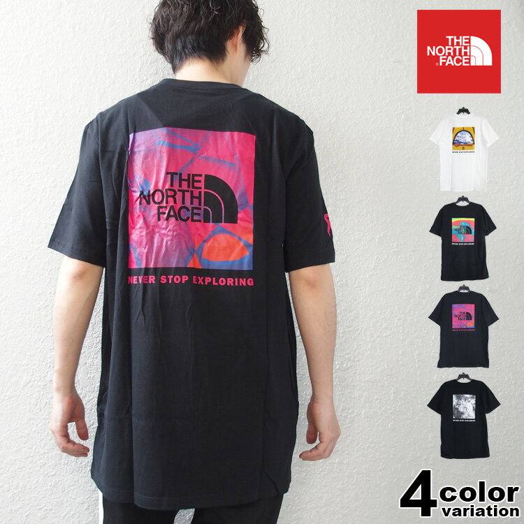 ザ ノースフェイス Tシャツ THE NORTH FACE Tシャツ 半袖 メンズ ボックス ロゴ ( the north face M S/S PRINTED BOX NSE TEE 2023 春 夏 ティーシャツ カットソー トップス メンズ レディース NF0A7ZWI ザ・ノース・フェイス USライン)【あす楽対応】 【メール便対応】