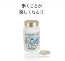 約60日分 2箱分 グルコサミン 高純度コンドロイチン ヒハツ Tie2 非変性2型コラーゲン 非変性プロテオグリカン アガロオリゴ糖 動きがスムーズ 歩くこと...