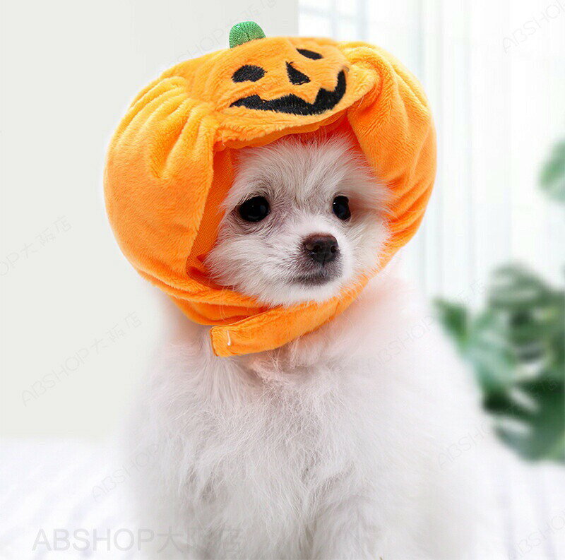 ABSHOP大阪店のハロウィン かぼちゃ カボチャ 被り物 かぶりもの コスプレ 着ぐるみ 帽子 ハロウィン かぼちゃ コスプレ 仮装 猫 犬 コスプレ コスチューム かわいい 犬猫ハット ペット用コスプレ ペット帽子 着脱簡単 防寒 暖かい 小型犬 中型犬 猫 変身 コスプレ イベント 撮影｜アングル3