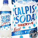 カルピス カルピスソーダ 500mlペットボトル（24本入り1ケース）乳酸菌飲料※ご注文いただいてから4日〜14日の間に発送いたします。/ot/