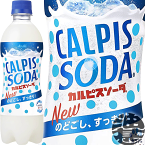 カルピス　カルピスソーダ 500mlペットボトル（24本入り1ケース）乳酸菌飲料※ご注文いただいてから4日〜14日の間に発送いたします。/ot/