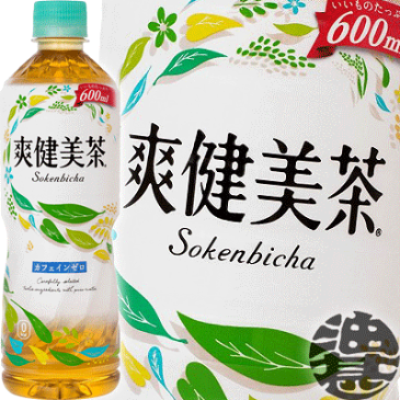 『2ケース送料無料！』（地域限定）コカ・コーラ コカコーラ 爽健美茶 600mlペットボトル ×2ケース48本（24本入り1ケース）カフェインゼロ ブレンド茶※ご注文いただいてから3日〜14日の間に発送いたします。/zn/