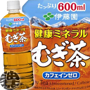 『2ケース送料無料!』(地域限定)伊藤園 健康ミネラルむぎ茶 600mlペットボトル×2ケース48本(1ケースは24本入り) 天然ミネラル麦茶※ご注文いただいてから4日~14日の間に発送いたします。/uy/