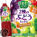 『2ケース送料無料!』(地域限定)カゴメ 野菜生活100 2種のぶどうミックス スマートPET 720mlペットボトル×2ケース30本(1ケースは15本入り)赤ぶどう 白ぶどう 野菜ジュース※ご注文いただいてから4日~14日の間に発送いたします。/ot/