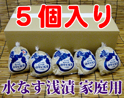 送料無料 地域限定 丸作食品 お買い得ご家庭用大阪 泉州名産 水なす浅漬 ぬか漬 5個セットご注文後 10日〜25日程で配達いたします 佐川クール便で発送いたします 水茄子 水ナス 漬物[qw]