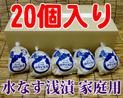 送料無料 地域限定 丸作食品 お買い得・ご家庭用大阪 泉州名産 水なす浅漬 ぬか漬 20個セットご注文後 10日〜25日程で配達いたします 佐川クール便で発送いたします 水茄子 水ナス 漬物[qw]