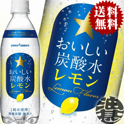 『2ケース送料無料！』（地域限定）サッポロ飲料　 おいしい炭酸水レモン500mlペットボトル×2ケース48本（24本入り1ケース）