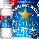 『送料無料！』（地域限定）ポッカサッポロ おいしい炭酸水 600mlペットボトル（24本入り1ケース）ソーダ タンサン スパークリング プレーン 割り材