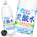 サンガリア 伊賀の天然水 炭酸水 1L