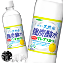 サンガリア 伊賀の天然水 強炭酸水 グレープフルーツ 500mlペットボトル 24本入り1ケース 天然水スパークリング ソーダ 割り材※ご注文いただいてから3日〜14日の間に発送いたします sg 