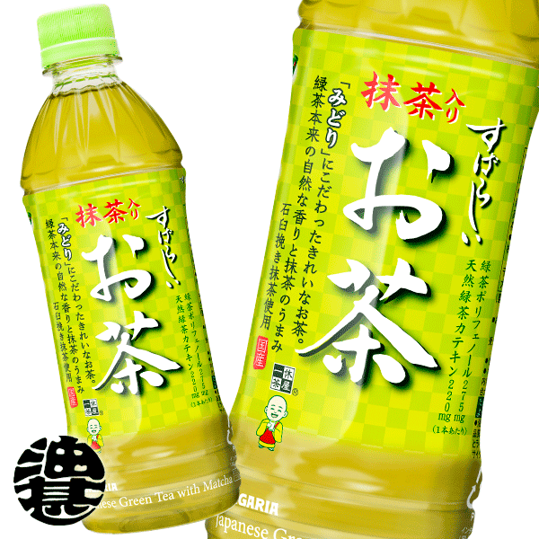 サンガリア 一休茶屋 すばらしい抹茶入りお茶 500mlペットボトル（24本入り1ケース）