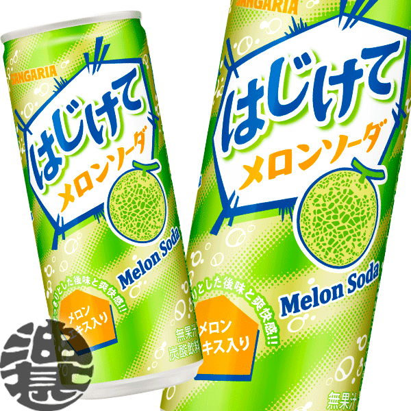 『送料無料！』（地域限定）サンガリア はじけてメロンソーダ 250ml缶(30本入り1ケース)250g※ご注文いただいてから3日〜14日の間に発送いたします。/sg/