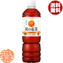 『2ケース送料無料!』(地域限定)アサヒ飲料 和の紅茶 無糖アイスティー 500mlペットボトル×2ケース48本(1ケースは24本入り)和紅茶 紅茶 無糖 スト...