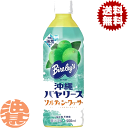『2ケース送料無料!』(地域限定)アサヒ飲料 沖縄バヤリース ソルティシークヮーサー 500mlペットボトル×2ケース48本(1ケースは24本入り)アサヒオリオ...