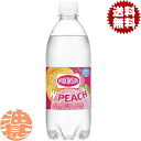 『2ケース送料無料!』(地域限定)アサヒ飲料 ウィルキンソン タンサン ダブルピーチ 500mlペットボトル×2ケース48本(1ケースは24本入り)ウィルキンソンタンサン ソーダ ピーチ※ご注文いただいてから4日〜14日の間に発送いたします。/ah/|詳細画像