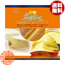 『送料無料!』(地域限定)デイプラス 天然酵母パン塩バターチーズ (12個入り1ケース)【ロングライフ 菓子パン】※ご注文いただいてから6日〜20日の間に発送い...