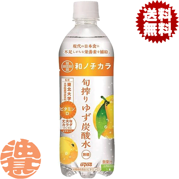 『2ケース送料無料！』（地域限定）ダイドー 和ノチカラ 旬搾りゆず炭酸水 500mlペットボトル×2ケース4..