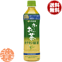 『送料無料!』(地域限定)伊藤園 お~いお茶 カテキン緑茶 500ml ペットボトル(24本入り1ケース) 500ml 特定保健用食品 特保 トクホ おーいお茶※ご注文いただいてから4日〜14日の間に発送いたします。/uy/(4)