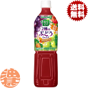 『送料無料!』(地域限定)カゴメ 野菜生活100 2種のぶどうミックス スマートPET 720mlペットボトル(15本入り1ケース)赤ぶどう 白ぶどう 野菜ジュース※ご注文いただいてから4日~14日の間に発送いたします。/ot/