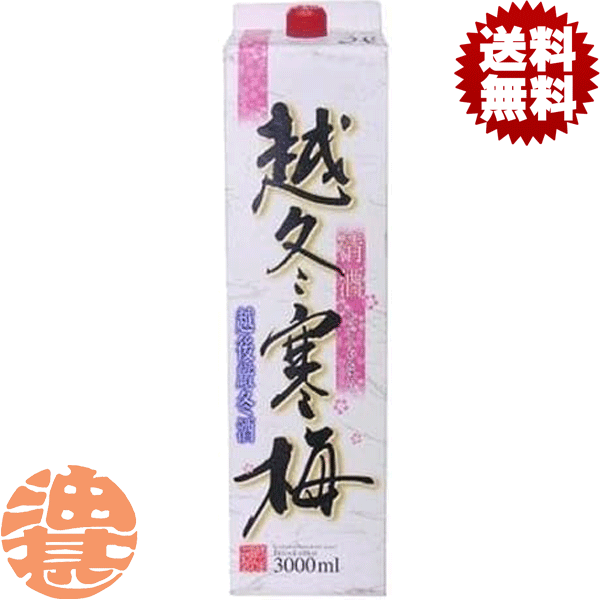 『2ケース送料無料！』（地域限定）小山本家酒造 越冬寒梅 3L紙パック×2ケース8本(1ケースは4本入り)【3000ml 清酒 日本酒】[qw]