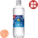 『送料無料！』（地域限定）ポッカサッポロ おいしい炭酸水 600mlペットボトル（24本入り1ケース）ソーダ タンサン スパークリング プレーン 割り材