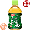 『送料無料!』(地域限定)サンガリア あなたの濃いお茶 280mlペットボトル(24本入り1ケース)あなたのお茶 濃い味 緑茶 日本茶※ご注文いただいてから4日...