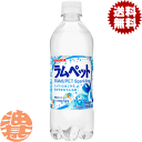 『送料無料!』(地域限定)サンガリア ラムペット 500mlペットボトル(24本入り1ケース)ラムネ 炭酸飲料※ご注文いただいてから4日~14日の間に発送いたします。/sg/