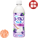 『送料無料!』(地域限定)サンガリア ヨーグルンウォーター ブルーベリー 500mlペットボトル(24本入り1ケース)乳性飲料※ご注文いただいてから3日〜14日...