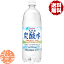 『送料無料！』サンガリア 伊賀の天然水 炭酸水 1Lペットボトル（12本入り1ケース）1000ml 天然水 炭酸水 天然水スパークリング 伊賀の天然水炭酸水 （地域限定）※ご注文いただいてから3日〜14日の間に発送いたします。/sg/