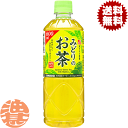 『送料無料!』(地域限定)サンガリア みどりのお茶 600mlペットボトル(24本入り1ケース)緑茶 日本茶