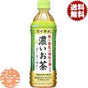 『2ケース送料無料!』(地域限定)サンガリア マイサポ 濃いお茶 500mlペットボトル×2ケース48本(1ケースは24本入り)日本茶 緑茶※ご注文いただいてから4日~14日の間に発送いたします。/sg/