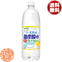 『送料無料！』（地域限定）サンガリア 伊賀の天然水 強炭酸水 グレープフルーツ 1Lペットボトル（12本入り1ケース）スパークリング ソーダ 伊賀の天然水炭酸水 1000ml※ご注文いただいてから3日〜14日の間に発送いたします。/sg/