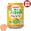 『送料無料！』（地域限定）サンガリア　つぶみオレンジ 280g缶（24本入り1ケース）つぶつぶみ オレンジジュース 粒入り※ご注文いただいてから3日〜14日の間に発送いたします。/sg/