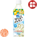 『2ケース送料無料!』(地域限定)サントリー 塩のはちみつレモン 490mlペットボトル×2ケース48本(1ケースは24本入り)冷凍兼用ボトル※ご注文いただいてから4日~14日の間に発送いたします。/st/(4)