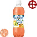 『2ケース送料無料!』(地域限定)サントリー クラフトボス 世界のTEA 地中海スカッシュ 490mlペットボトル×2ケース48本(1ケースは24本入り)BOS...