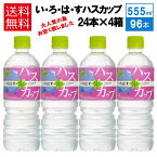 即納 まとめて4ケース 大人買い 即納 送料込（地域別・北海道から関東、信越まで） 総額でお得 いろはす I LOHAS ハスカップ 555ml 24本　× 4箱 96 本 北海道限定 コカコーラ CocaCola ミネラルウォーター フレーバー ご当地 いろはすハスカップ 29811-0004