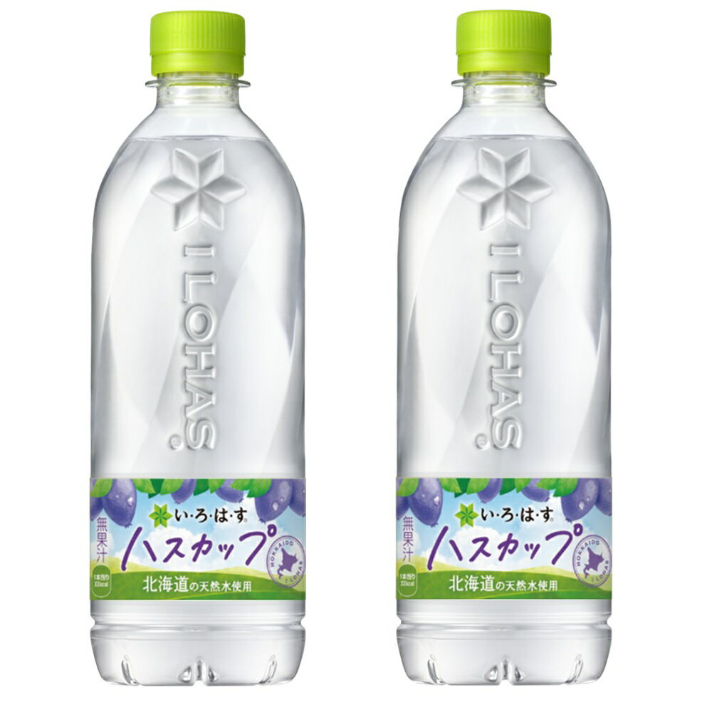 2ケースセット 北海道限定 い・ろ・は・す I LOHAS ハスカップ 540ml 1ケース 24本 ×2箱48本セット 限定 コカコーラ CocaCola ミ...