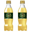 2ケースセット 送料無料 (地域限定) カナダドライ ジンジャーエール 350ml PET × 24本 ※2箱48本セット コカコーラ CocaCola コカ・コーラ 大人買い