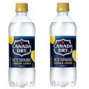 2ケースセット 送料無料 (地域限定) アイシー・スパーク from カナダドライ レモン 490ml PET × 24本 +2箱48本セット コカコーラ Co...