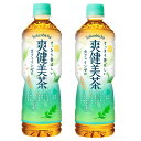 2ケースセット 送料無料 (地域限定) 爽健美茶 600ml PET × 24本 +2箱48本セット コカコーラ CocaCola 大人買い