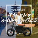 電動アシスト自転車 COSWHEEL MIRAI GT グランパス エディション 20インチ ファットタイヤ 通勤 通学 にも おすすめ 2