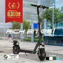 【特定小型原動機付自転車】 電動キックボード 保安部品完備 公道走行可能 RICHBIT ES1 P ...