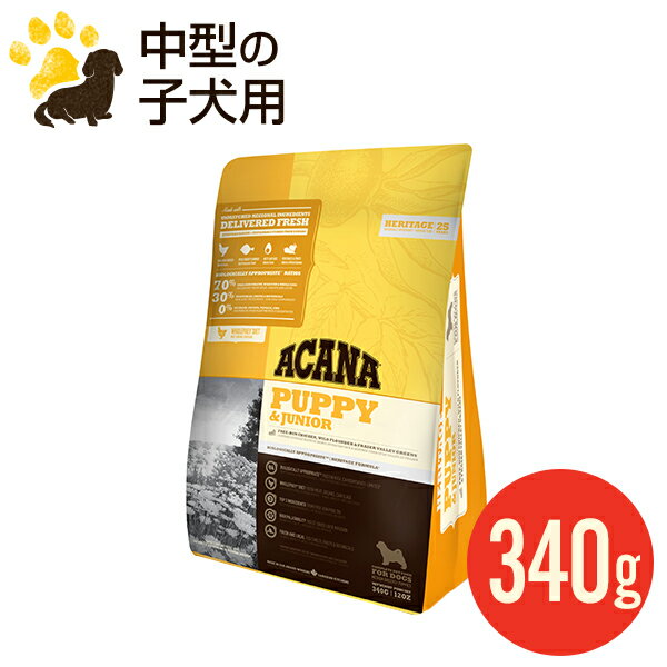 【正規品】アカナ パピー＆ジュニア 340g 全犬種 子犬用 平型小粒 ドッグフード 賞味期限2020.6.3