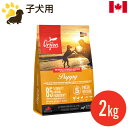 オリジン パピー 2kg (正規品) 幼犬用 総合栄養食 ドッグフード カナダ産 賞味期限2025.1.3
