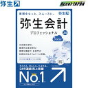 弥生会計 24 プロフェッショナル クラウド 通常版 インボイス制度 電子帳簿保存法対応 確定申告 決算 青色申告 業務ソフト 管理 弥生 やよい ヤヨイ 【】