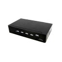 4出力対応DVIディスプレイスプリッター オーディオ対応 ビデオ・モニタ分配器 1920 x 1200 (60Hz) 対応 最大10m スターテック StarTech.com 2年保証(2)