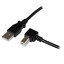 3m USB 2.0 ֥ A () - B L () ֥å ƥå StarTech.com Ѵݾ