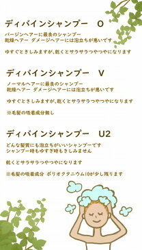 《抜け毛 ふけ かゆみ 頭皮ケアに》ディバイン ナノ シャンプーV 4000ml【ノンシリコンシャンプー オーガニックシャンプー スカルプシャンプー クレンジングシャンプー シャンプー 美容室専売 かゆみ ふけ フケ 抜け毛 乾燥 敏感肌 頭皮 ノンシリコン 大容量 詰め替え】